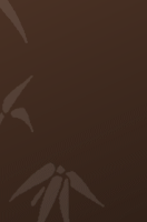 Website Design for Kennels