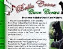 Website Designs for Breeders, Kennels, Veternarians, Groomers, Handlers