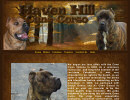 Cane Corso Breeder