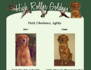 high roller golden retrievers