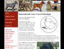 Website Redesign example