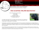 Website Redesign example