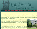 Cane Corso Breeder New York