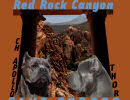 Red Rock Canyon Cane Corso