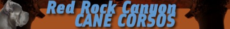 Website Designs for Breeders, Kennels, Veternarians, Groomers, Handlers