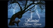 Website Designs for Breeders, Kennels, Veternarians, Groomers, Handlers