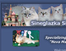 Sineglazka Siberian Cats - Siberian Cat breeder in Las Vegas, NV