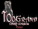 Website Designs for Breeders, Kennels, Veternarians, Groomers, Handlers